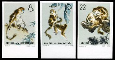 特60 金丝猴